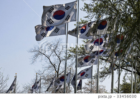 フラッグスタッフ ソウル 太極旗 33456030