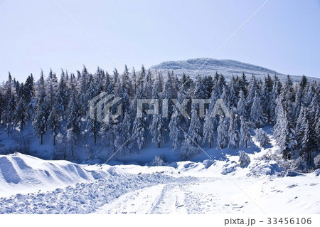 江原道 大関嶺 森 33456106