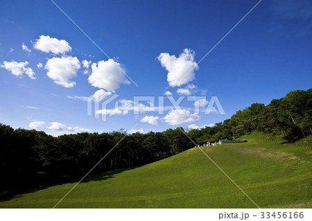 京畿道 キョンギド ソオルン 33456166