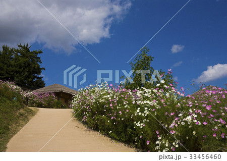 村 良洞民俗村 丸屋 33456460