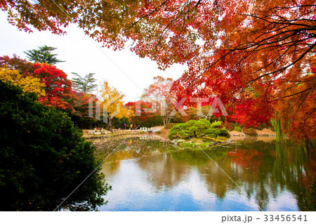 紅葉 仏国寺 池 33456541