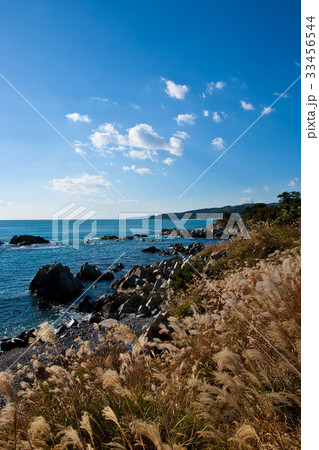 海 ススキ 韓国 33456544