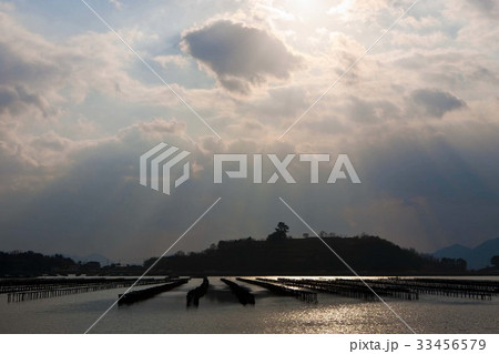 巨済市 雲 海 33456579