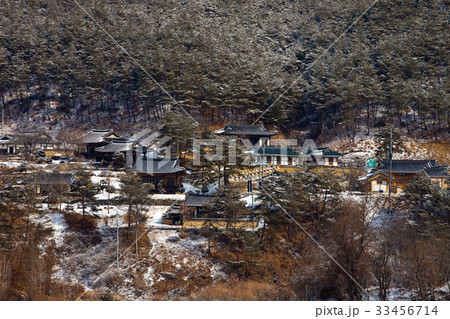 慶北 村 安東市 33456714