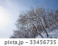 冬 慶北 木 33456735