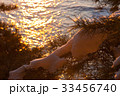 江原道 クローズアップ ハジョデ 33456740