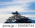 木 シルエット 日の出 33456744