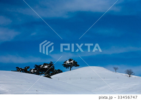 江原道 大関嶺 青 33456747