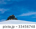 江原道 冬 木 33456748