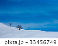 江原道 冬 木 33456749