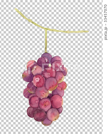 Bunch of grapes 33457070
