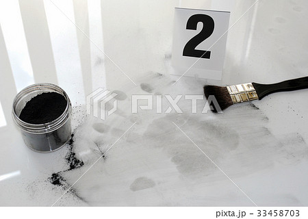 Fingerprint Fingerprint 33458703