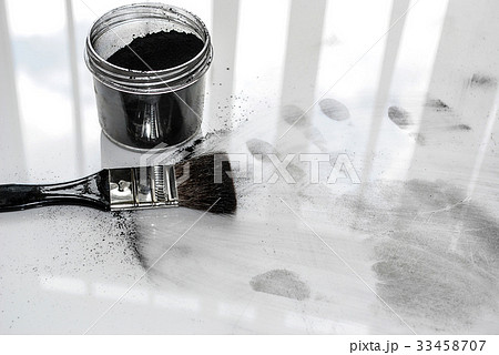 Fingerprint Fingerprint 33458707