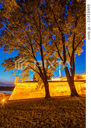Belgrade fortress and Kalemegdan park Belgrade fortress and Kalemegdan park 33458909