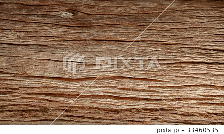 texture of bark wood use as natural background texture of bark wood use as natural background 33460535