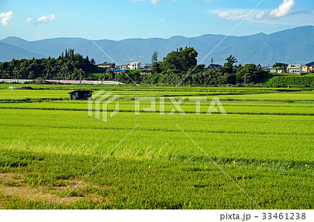 夏の雫石　岩手山と秋田新幹線こまち 33461238