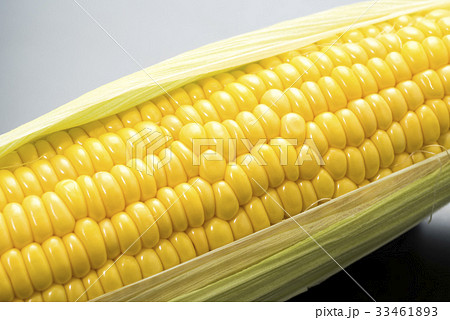 トウモロコシ 33461893