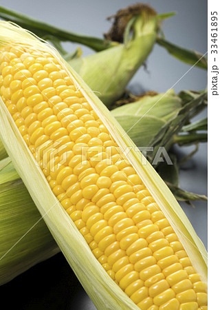 トウモロコシ 33461895