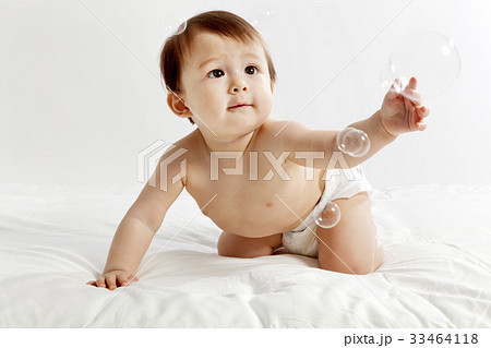 感情 可愛 アメリカ人 33464118