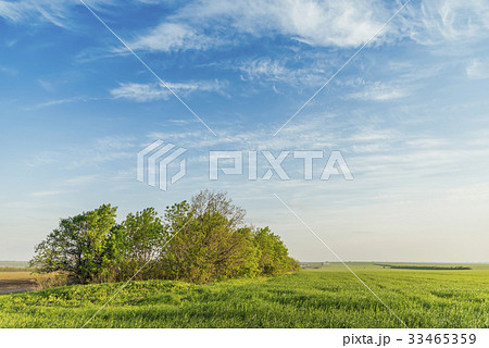 green meadow in sunset time and blue sky green meadow in sunset time and blue sky 33465359