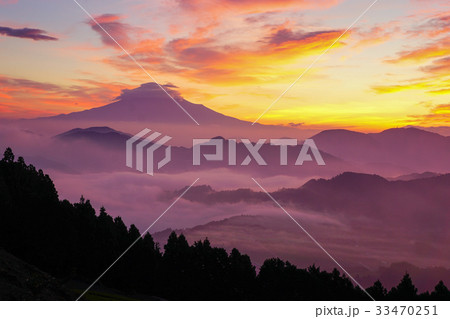 富士山　雲海　茶畑 33470251