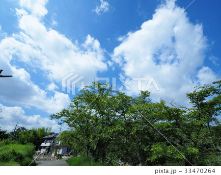 服部大池公園から見る夏の青空と雲 33470264