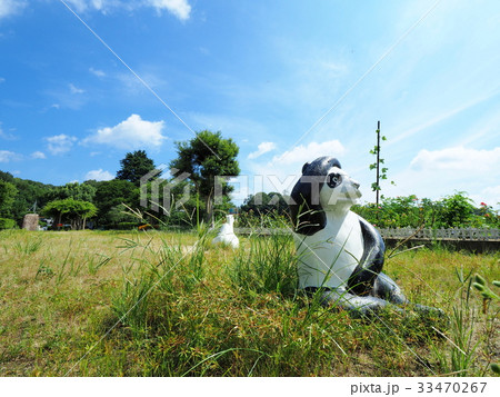 服部大池公園から見る夏の青空と雲 33470267