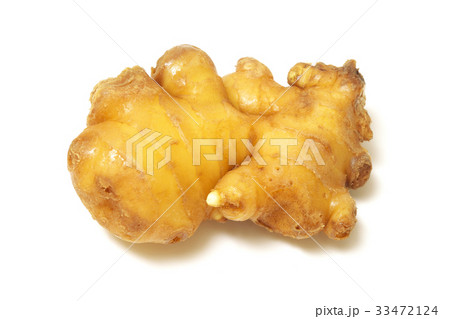 小生姜(千葉県産） 33472124