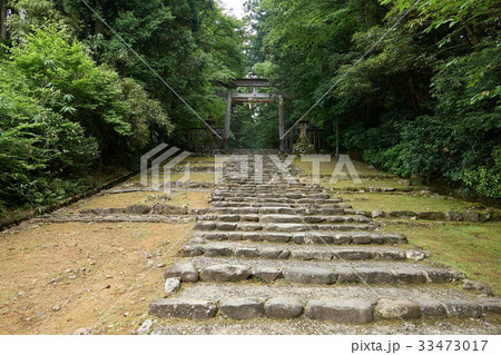 白山平泉寺、精進坂と一の鳥居、福井県 33473017