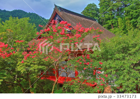 深緑の談山神社の神廟拝所 深緑の談山神社の神廟拝所 33473173