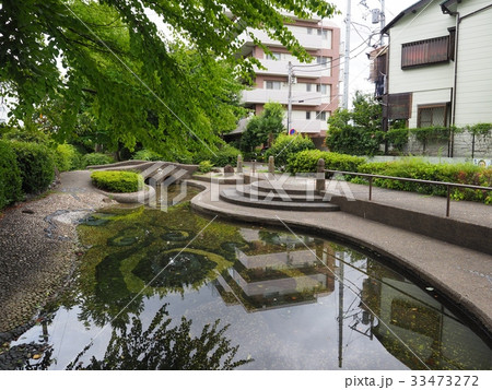 新田緑道 33473272