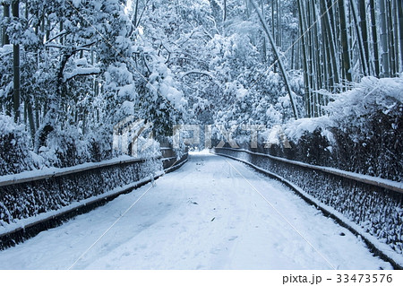 竹林の雪景色 33473576