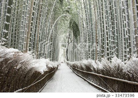 竹林の雪景色 33473596