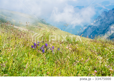 Panoramic view over the Carpatian mountains 33475000
