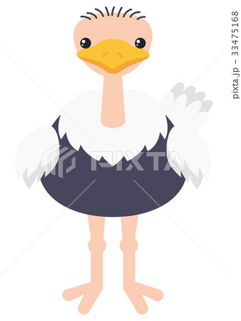 Ostrich on white background Ostrich on white background 33475168