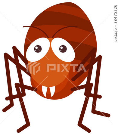 Red Ant On White Backgroundのイラスト素材