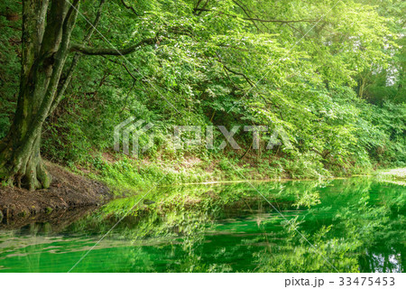 森の中の池 33475453