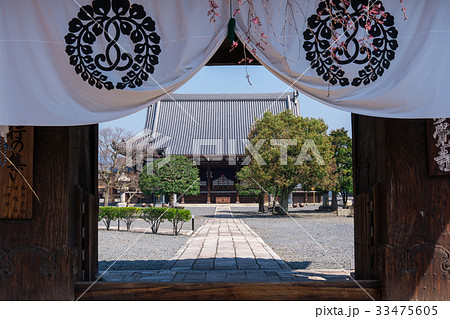 京都　妙覚寺　 33475605