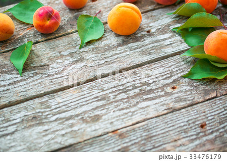 Beautiful ripe orange apricots with leaves  33476179