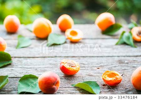 Beautiful ripe orange apricots with leaves  33476184