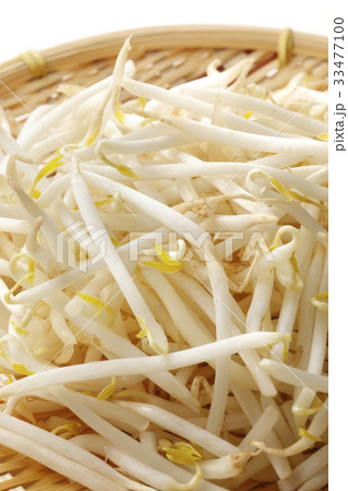 もやし 33477100