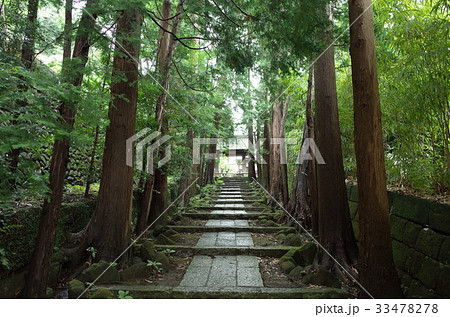 鎌倉　建長寺　境内 33478278