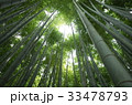 鎌倉　報国寺　竹の寺 33478793