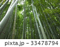 鎌倉　報国寺　竹の寺 33478794