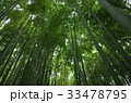 鎌倉　報国寺　竹の寺 33478795