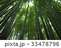 鎌倉　報国寺　竹の寺 33478796