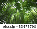 鎌倉　報国寺　竹の寺 33478798