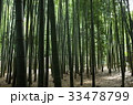 鎌倉　報国寺　竹の寺 33478799