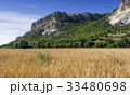 Field of wheat with mountainous backdrop 33480698