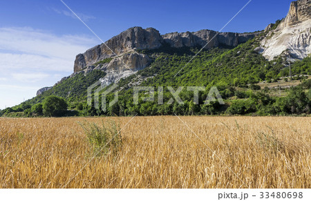 Field of wheat with mountainous backdrop Field of wheat with mountainous backdrop 33480698